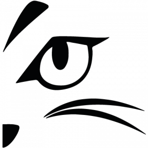 Programa filecat control acceso